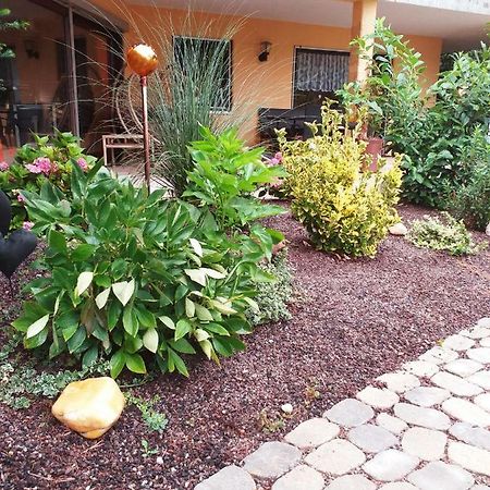 Ferienwohnung Im Rottal Oberrot Екстериор снимка