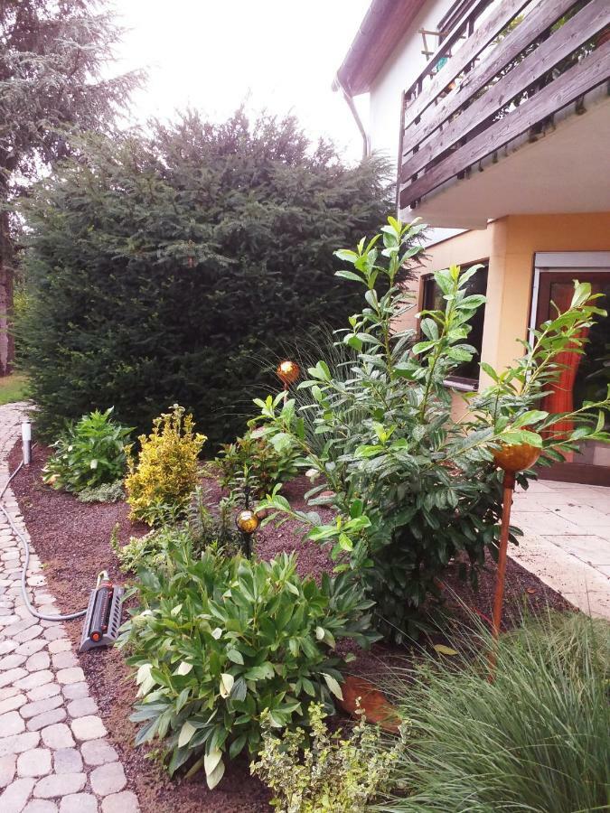 Ferienwohnung Im Rottal Oberrot Екстериор снимка